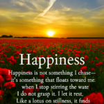 The Quiet Pursuit of Happiness: Sunset Over Poppies