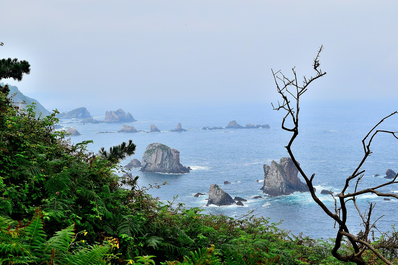 misty coastal landscape with rugged rocks and quiet waves, framed by lush greenery—evoking the serenity, strength, and sacred stillness of silence.